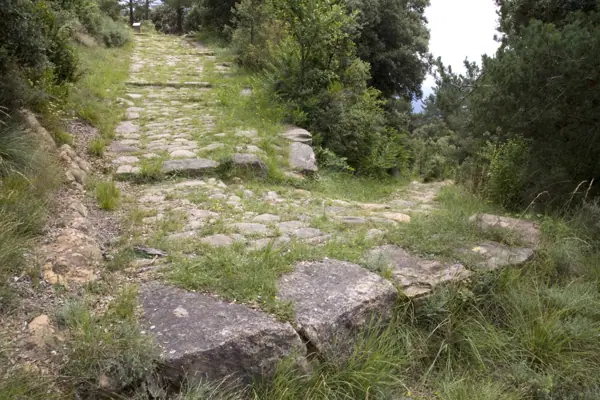 Via romana del Capsacosta (Sant Pau de Segúries) · 02114