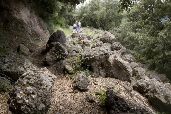 Via romana del Capsacosta (Sant Pau de Segúries) · 02118