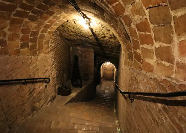 Caves Codorníu (Sant Sadurní d'Anoia) · 06238