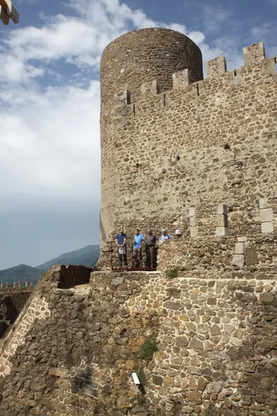 Castell de Montsoriu (Sant Feliu de Buixalleu) · 04302