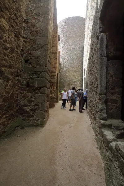 Castell de Montsoriu (Sant Feliu de Buixalleu) · 04305