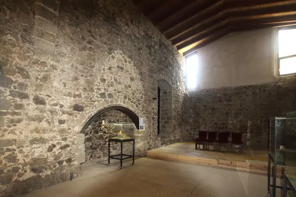 Castell de Montsoriu (Sant Feliu de Buixalleu) · 04314