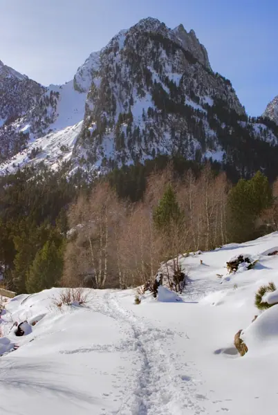 Estany de Sant Maurici, Parc Nacional (paisatges) (Espot) · 00676