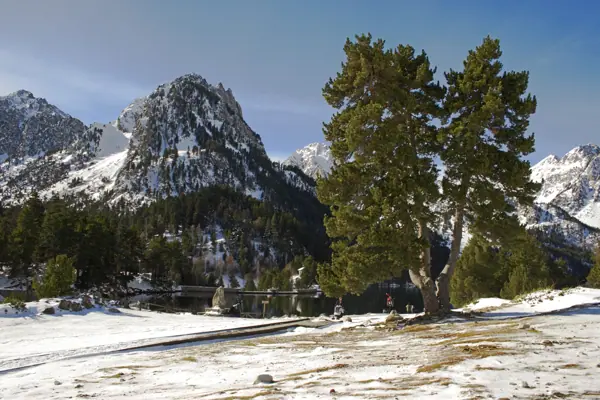 Estany de Sant Maurici, Parc Nacional (paisatges) (Espot) · 02811