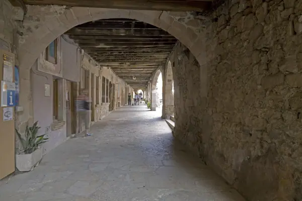 El poble (Santa Pau) · 03236