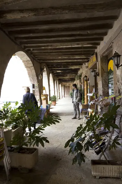 El poble (Santa Pau) · 03237
