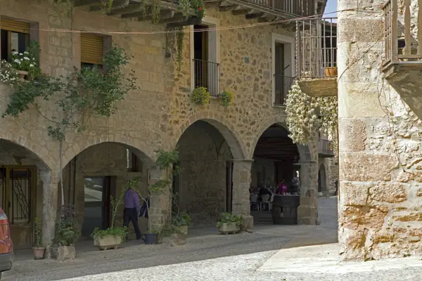 El poble (Santa Pau) · 03241