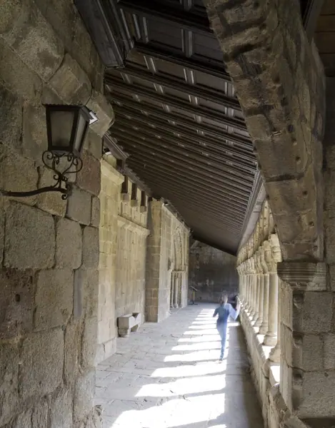 Catedral de Santa Maria (La Seu d'Urgell) · 02881