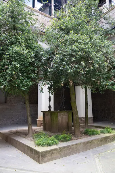 Catedral i altres indrets (Solsona) · 08468