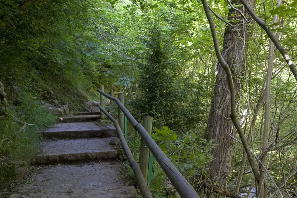 Fonts del Llobregat (Castellar de n'Hug) · 03299