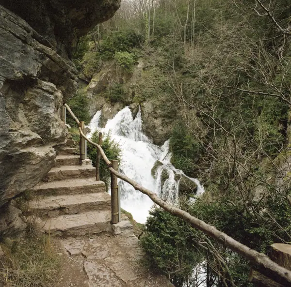 Fonts del Llobregat (Castellar de n'Hug) · 01232