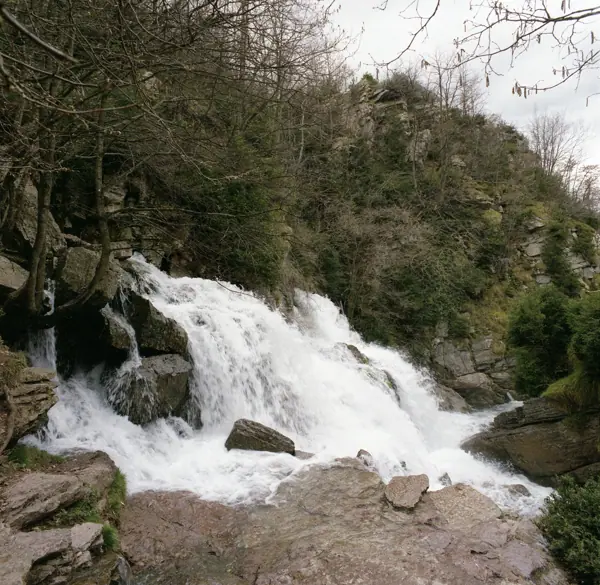 Fonts del Llobregat (Castellar de n'Hug) · 01231