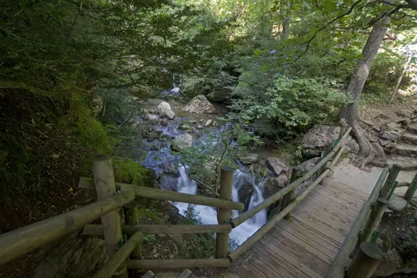 Fonts del Llobregat (Castellar de n'Hug) · 03301