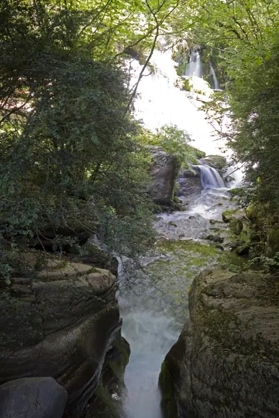 Fonts del Llobregat (Castellar de n'Hug) · 03302