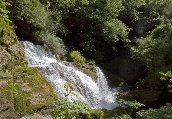 Fonts del Llobregat (Castellar de n'Hug) · 03303