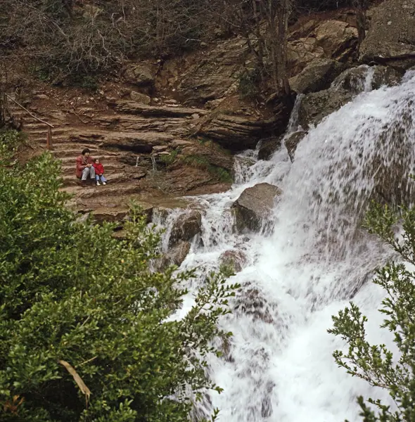 Fonts del Llobregat (Castellar de n'Hug) · 05846