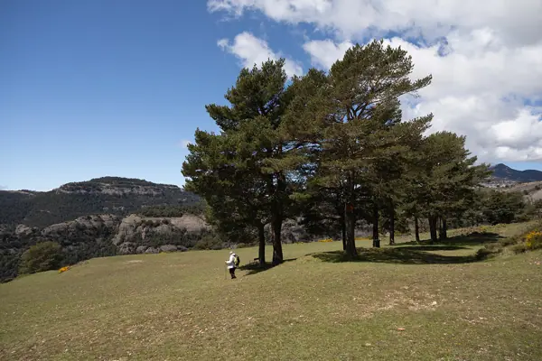 Santuari de la Mare de Déu de l'Hort (Sant Llorenç de Morunys) · 07557