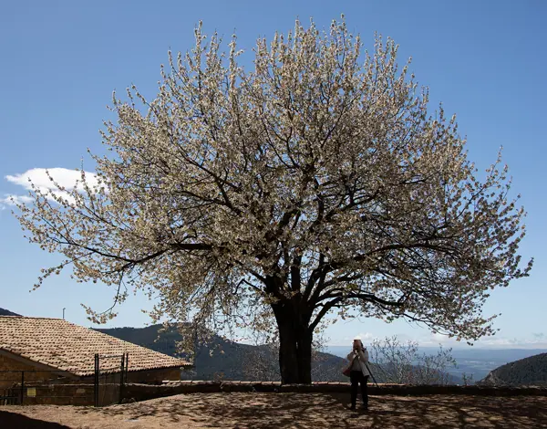 Santuari de la Mare de Déu de l'Hort (Sant Llorenç de Morunys) · 07554