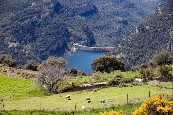 Santuari de la Mare de Déu de l'Hort (Sant Llorenç de Morunys) · 07558