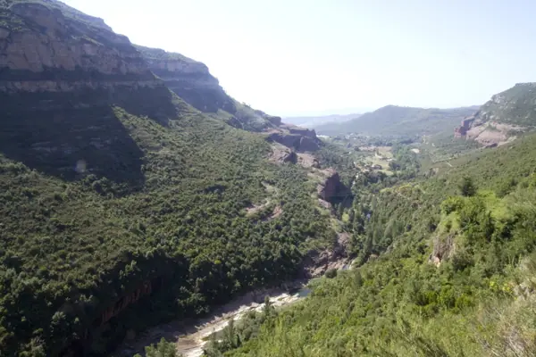 Monestir de Sant Miquel del Fai (Sant Quirze Safaja) · 01134