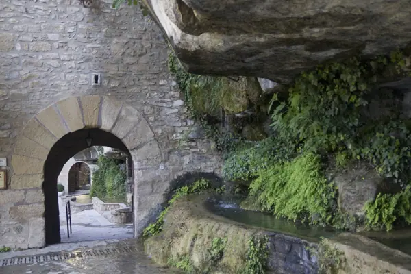 Monestir de Sant Miquel del Fai (Sant Quirze Safaja) · 01147