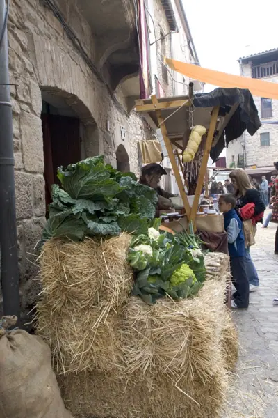 Fira medieval (Súria) · 00261