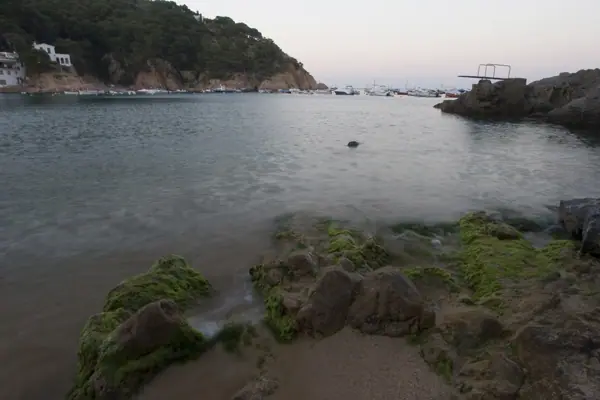 Tamariu (Palafrugell) · 00509