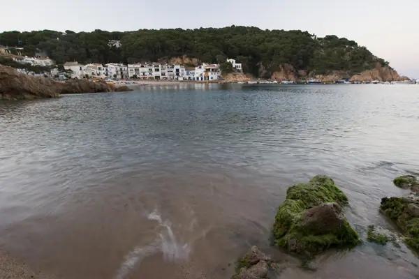 Tamariu (Palafrugell) · 00510