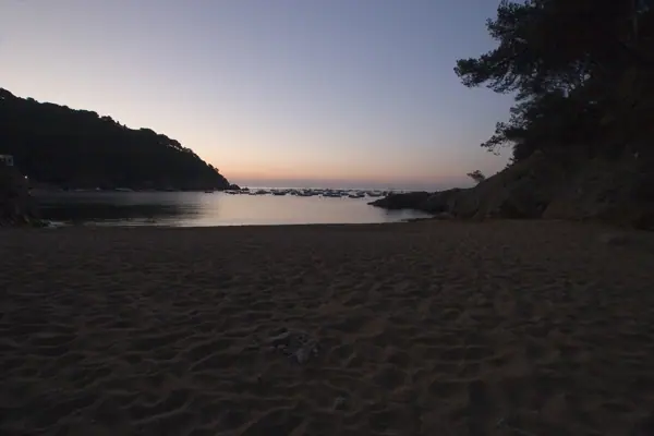 Tamariu (Palafrugell) · 00512