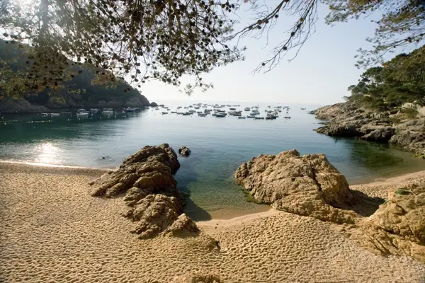 Tamariu (Palafrugell) · 00516