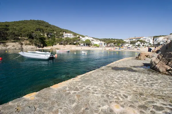 Tamariu (Palafrugell) · 00517