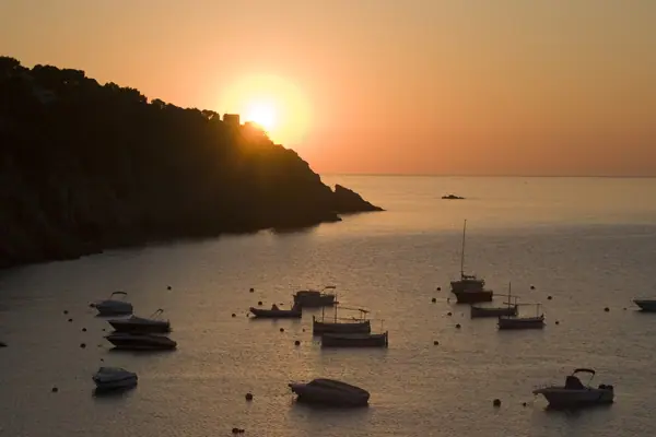Tamariu (Palafrugell) · 00513