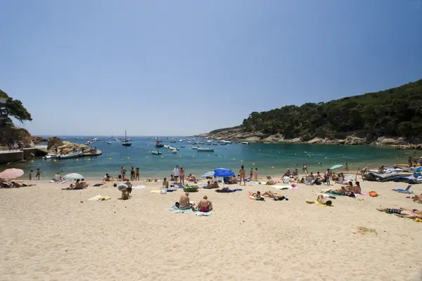 Tamariu (Palafrugell) · 00522