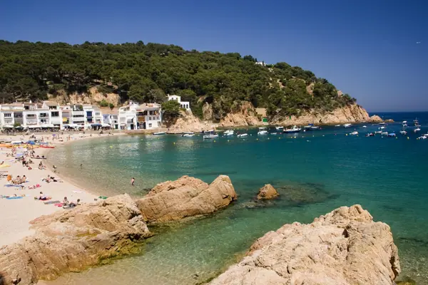 Tamariu (Palafrugell) · 00524