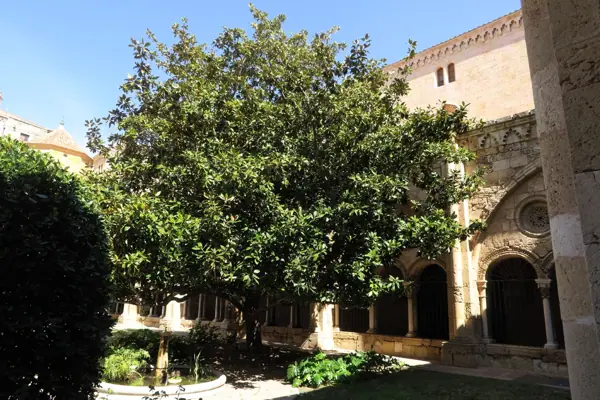 Catedral de Santa Tecla (Tarragona) · 05326