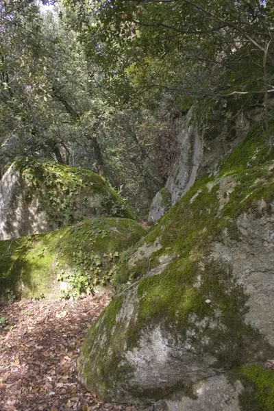 Amagatall d'en Serrallonga, paisatges (Tavertet) · 00652