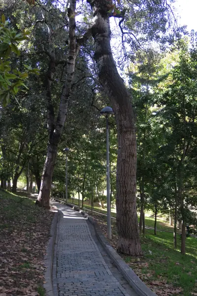 Parc de Vallparadís (Terrassa) · 05183