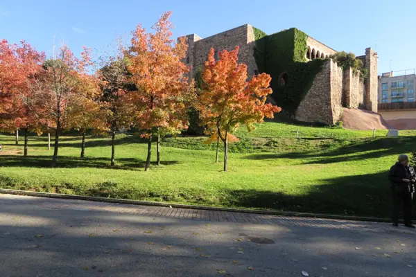 Parc de Vallparadís (Terrassa) · 05191