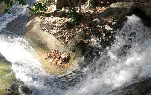 Parc de Vallparadís (Terrassa) · 05201