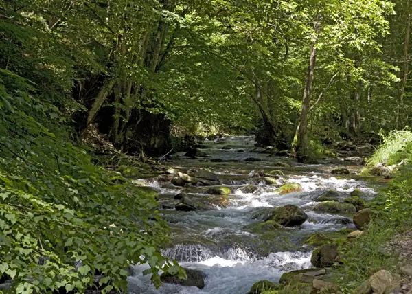 Riu Toran i Sant Joan de Toran (Canejan) · 02088