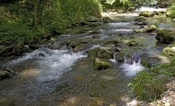 Riu Toran i Sant Joan de Toran (Canejan) · 02089
