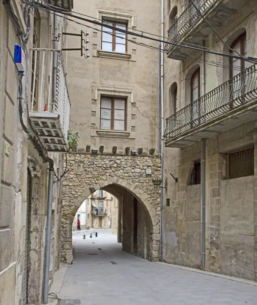 Catedral i ciutat (2011) (Tortosa) · 01976