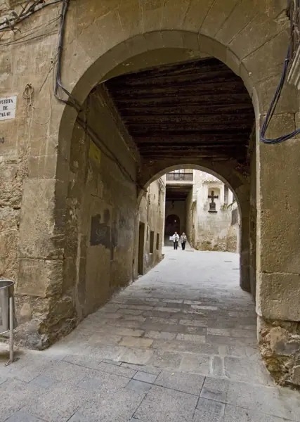 Catedral i ciutat (2011) (Tortosa) · 01980