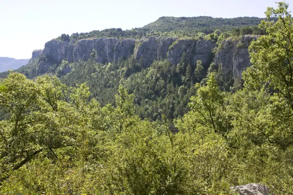 Cingles de Vallcebre (Vallcebre) · 03414