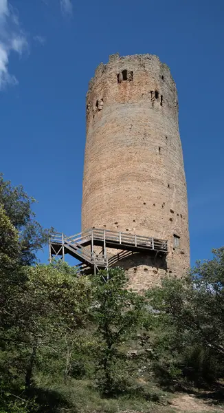 Torre de guaita (Vallferosa) · 08521