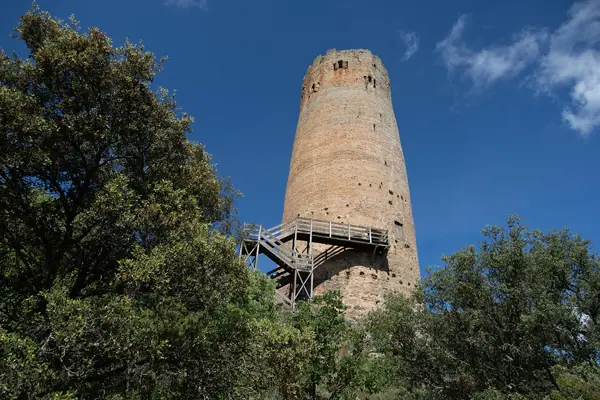 Torre de guaita (Vallferosa) · 08518