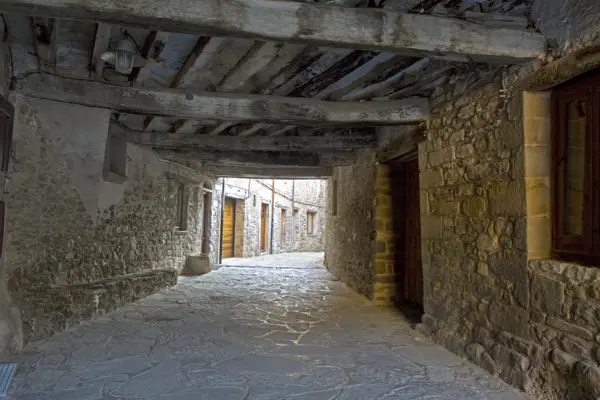Recinte medieval (Vallfogona de Ripollès) · 02445