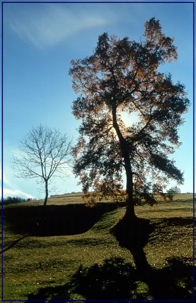 Vidrà i Tavèrnoles (Osona) · 00143