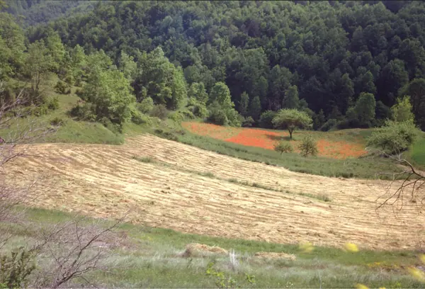 Vidrà i Tavèrnoles (Osona) · 00147