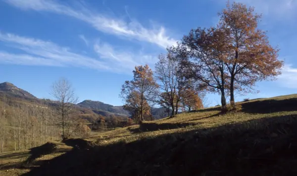 Vidrà i Tavèrnoles (Osona) · 00929